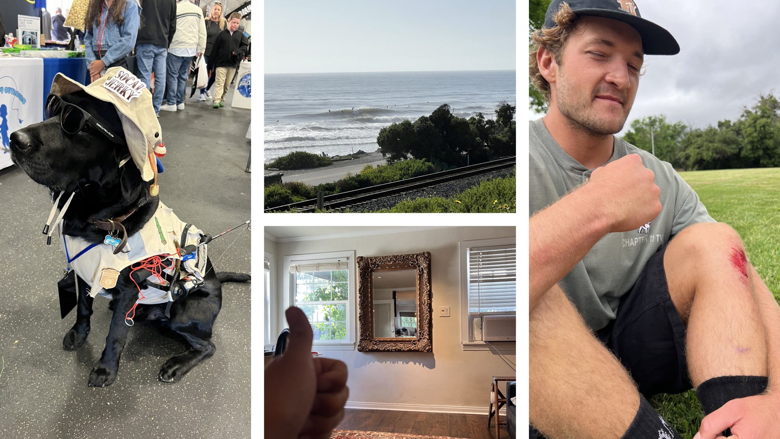 This week in Ventura